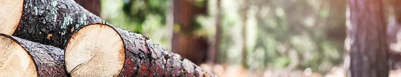 Building supply and lumber